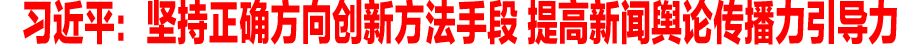 p.png