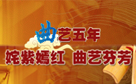 曲艺五年