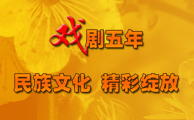 戏剧五年