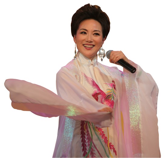 杨俊表演黄梅戏《女驸马》