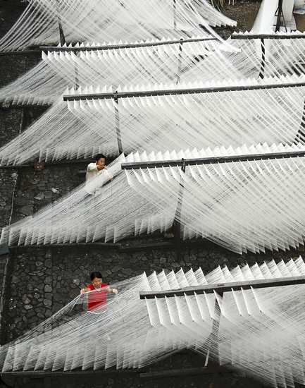 Vermicelli photo by Liu Xiaofeng