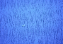 Aesthetics Summary of Xu Daing’s Photography