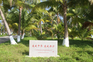 碑林