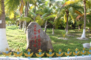 西沙将军林