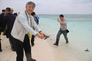 放生海龟