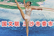 《芭蕾对手顶》