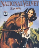 玉女神驹