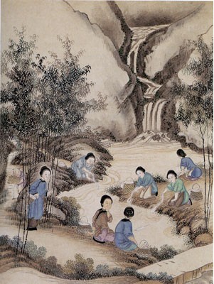 浴茧.jpg