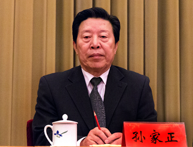 半岛公司官方网站入口查询主席孙家正参加开幕式