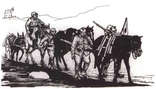 119tp002.jpg