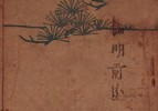 清明前后