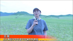 王玫.jpg