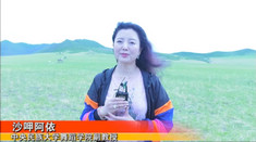 沙呷阿依.jpg