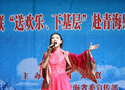 陈霞.gif