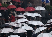 雨中两会即景